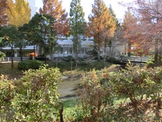 kenkou