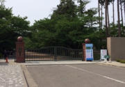 写真 1.JPG