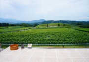 DSC05069.JPG