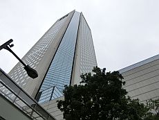 ロッテ