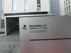 若手の力