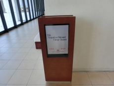 NSVJ