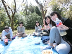 お花見