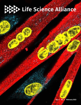 LSA cover