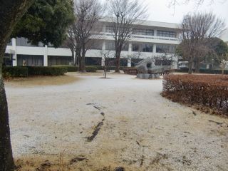 動物衛生研究所2013年2月