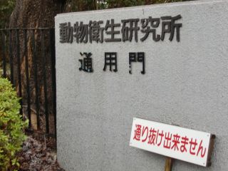 動物衛生研究所2013年2月