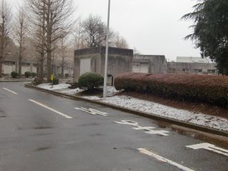 動物衛生研究所2013年2月