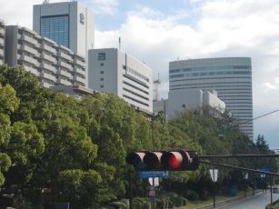 第61回日本ウイルス学会学術集会(神戸)