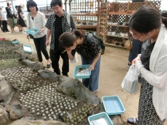 研究室旅行