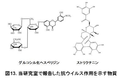 図13