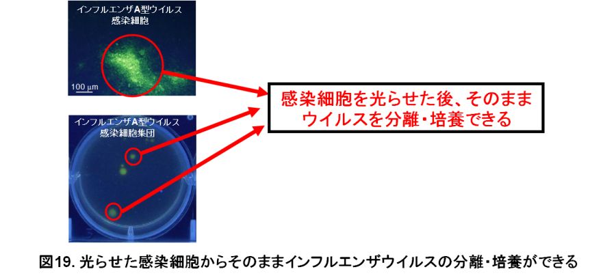図19