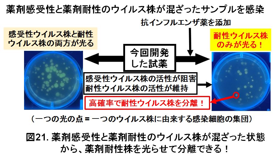 図21