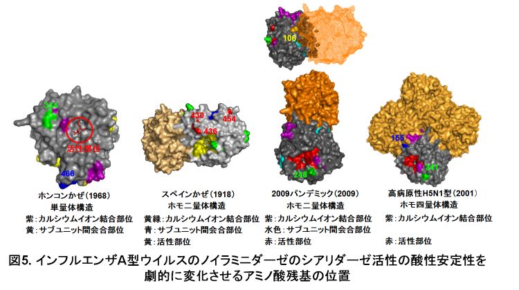 図5