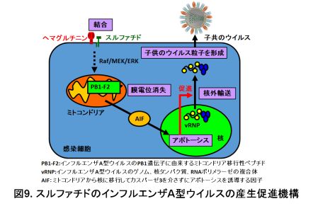 図9