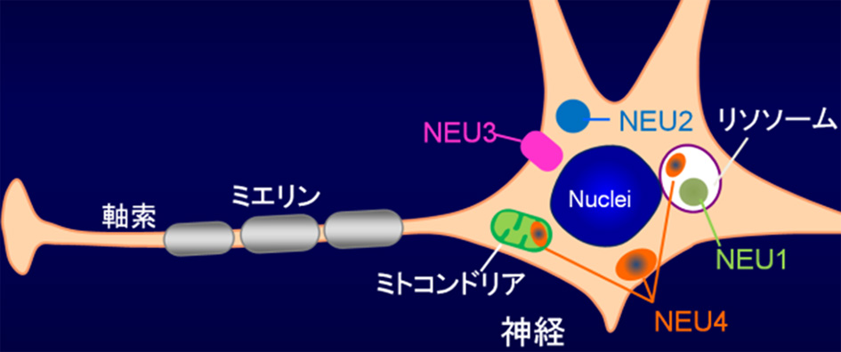図2