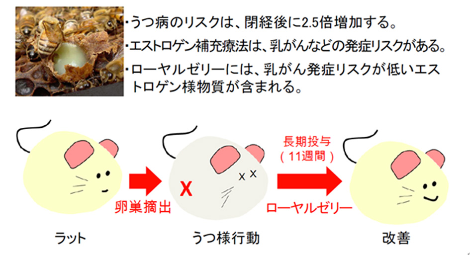 図6